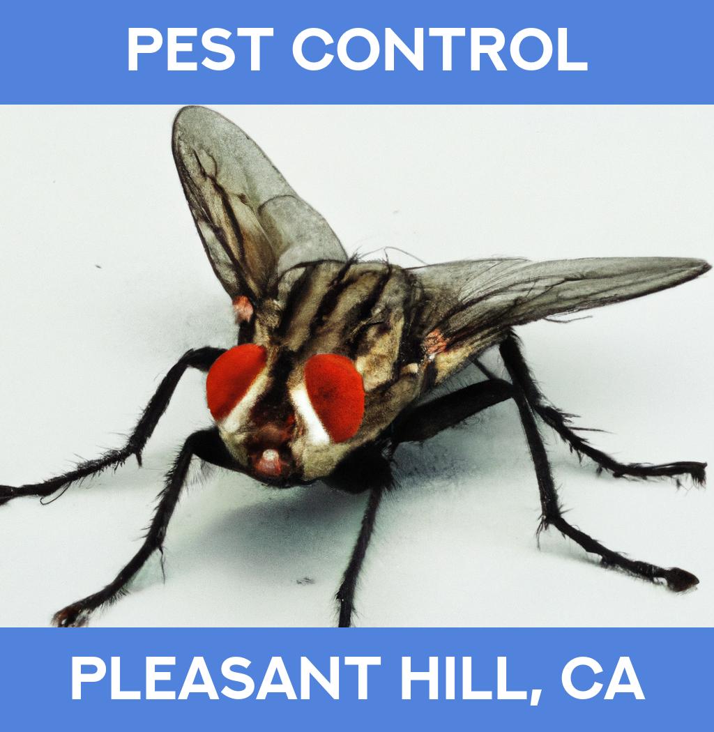 pest control in Pleasant Hill California