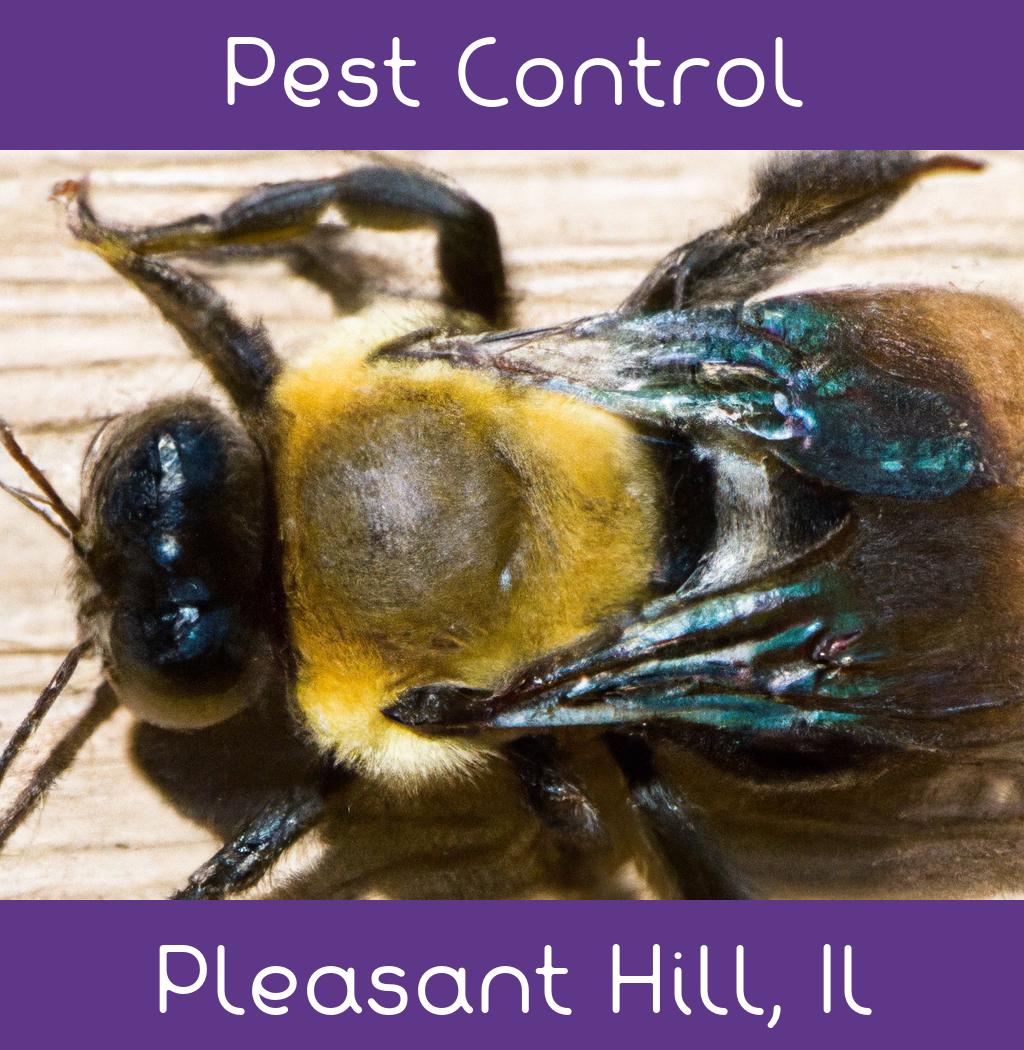 pest control in Pleasant Hill Illinois