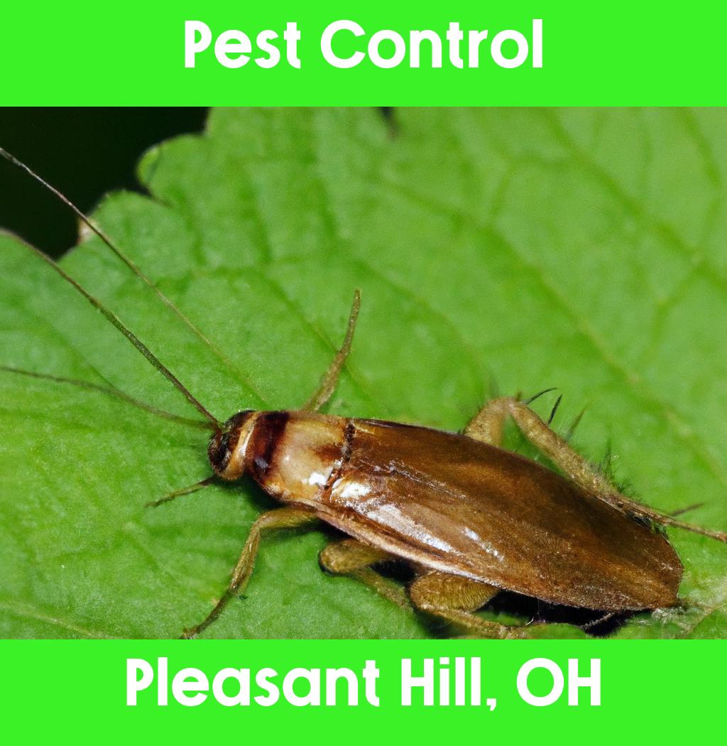 pest control in Pleasant Hill Ohio