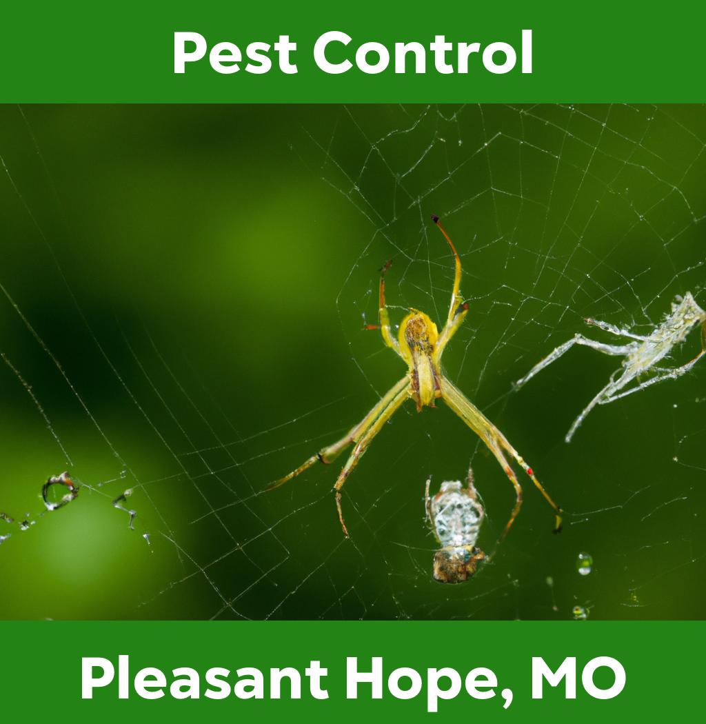 pest control in Pleasant Hope Missouri