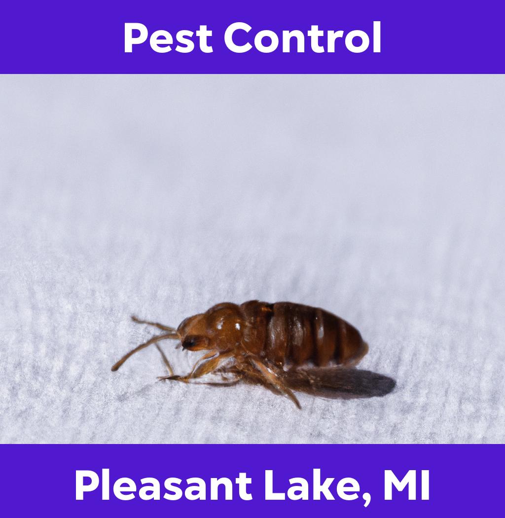 pest control in Pleasant Lake Michigan