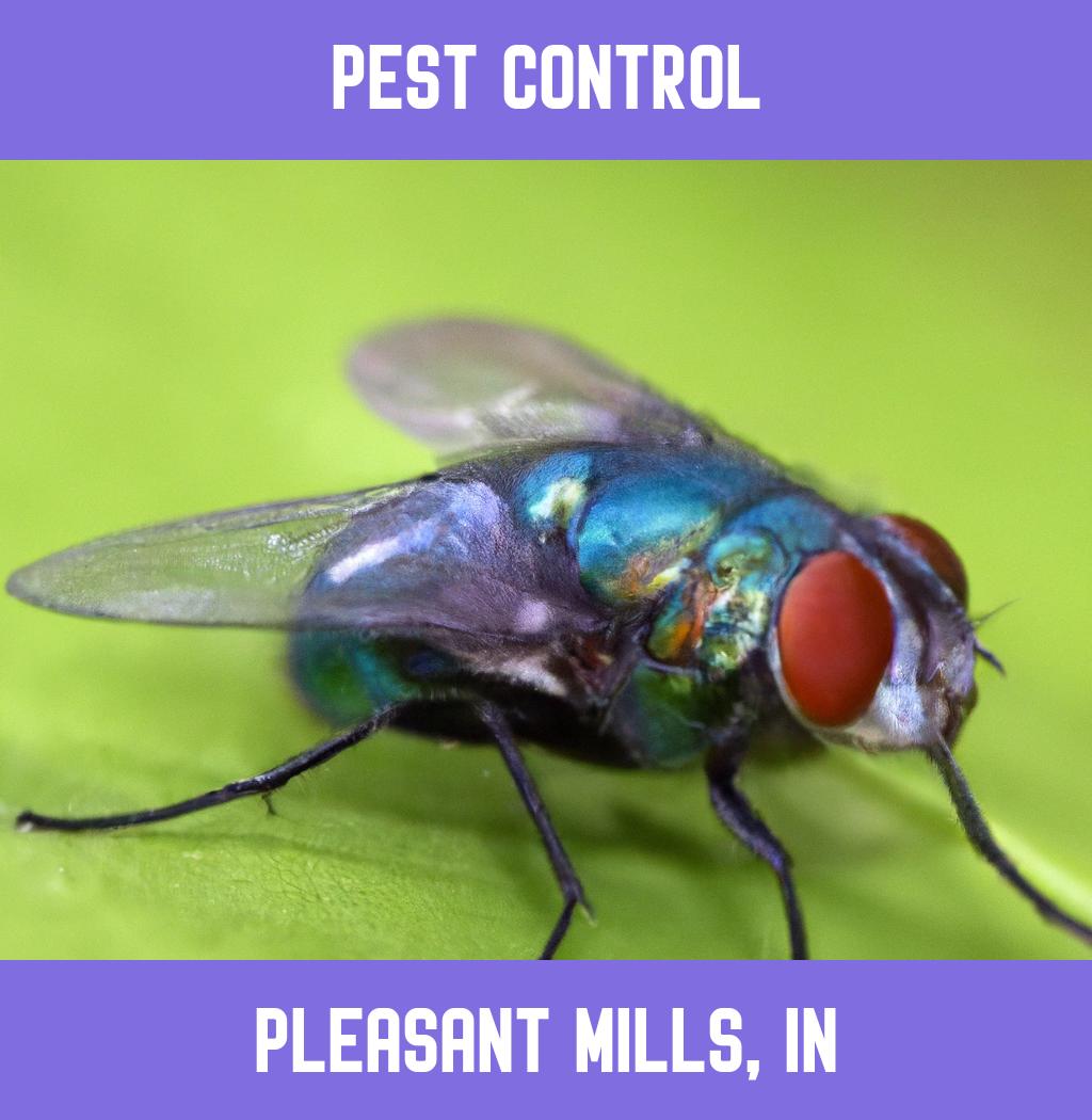 pest control in Pleasant Mills Indiana