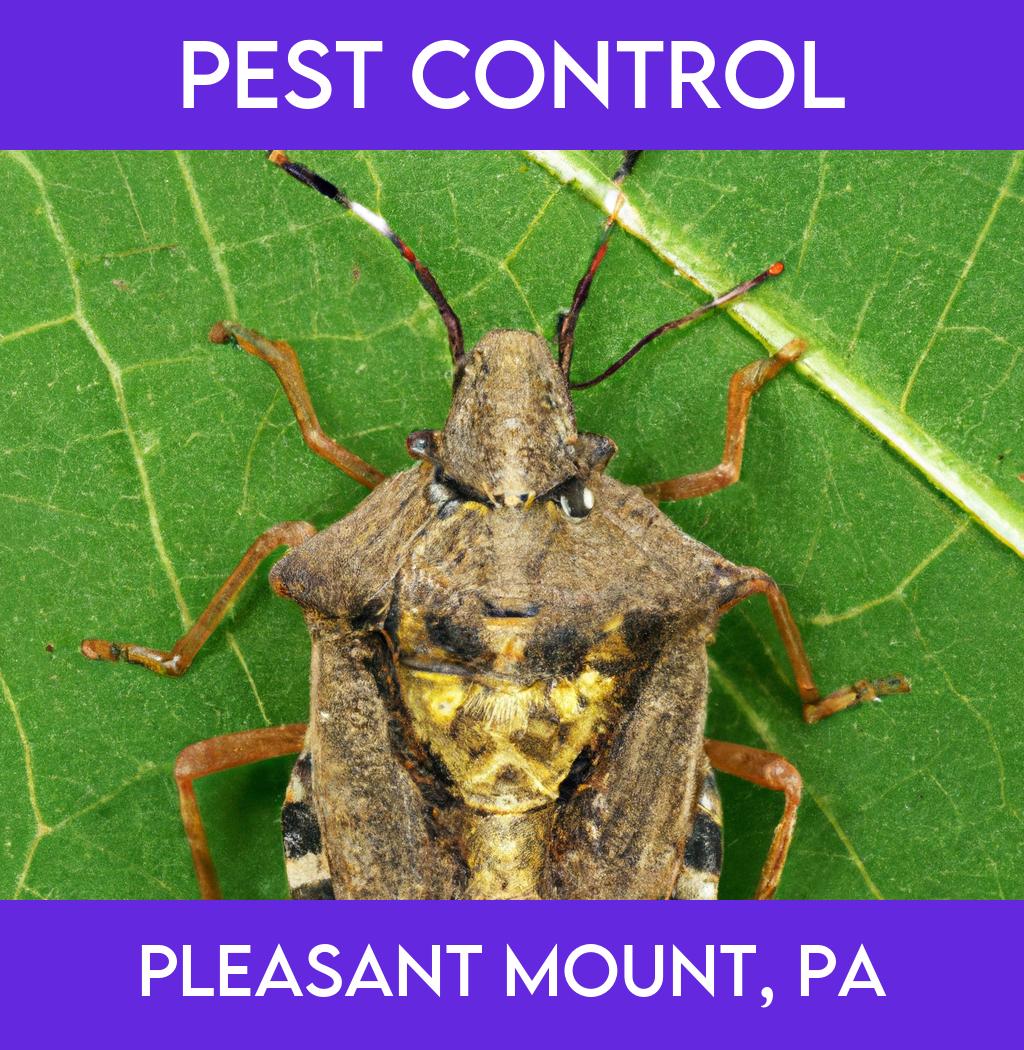 pest control in Pleasant Mount Pennsylvania