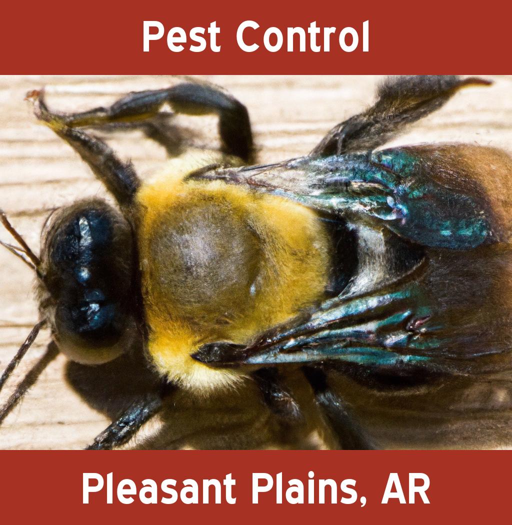 pest control in Pleasant Plains Arkansas