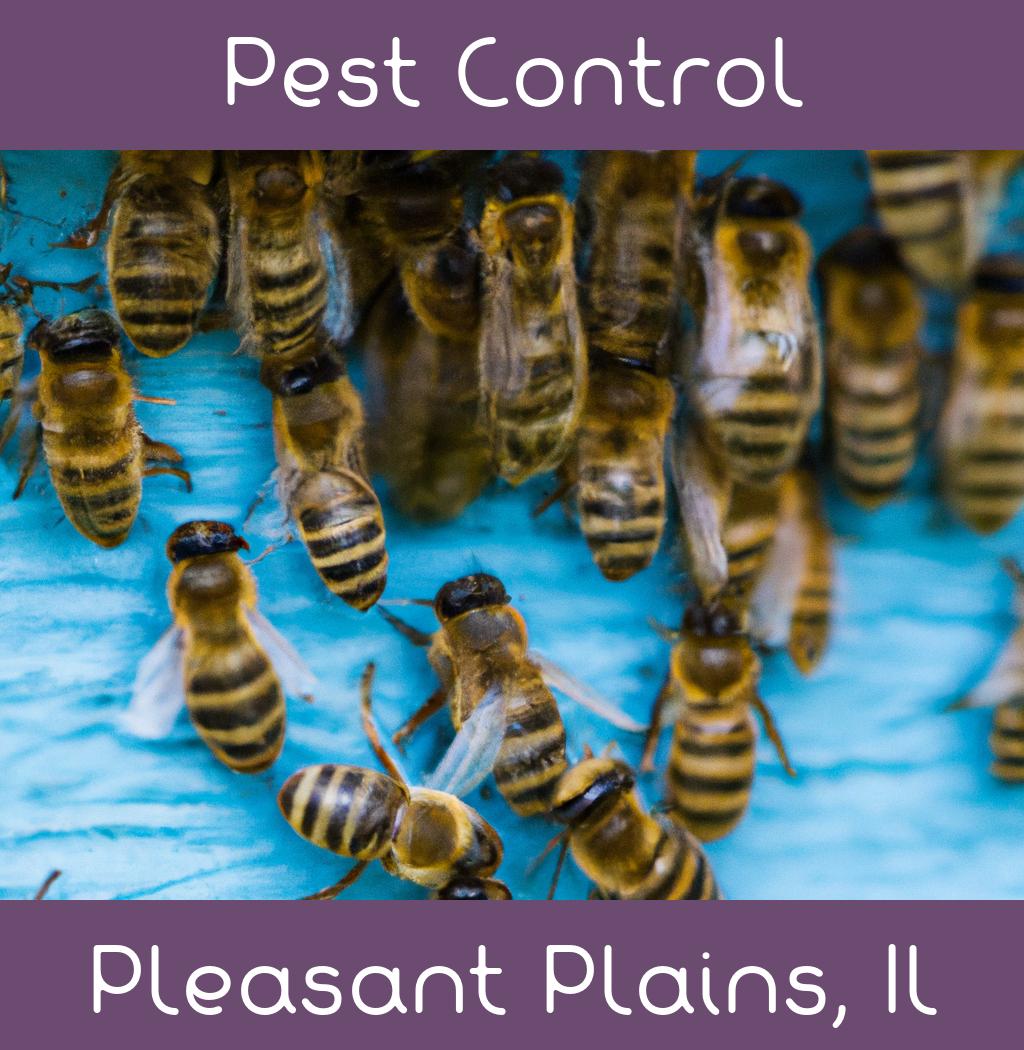 pest control in Pleasant Plains Illinois