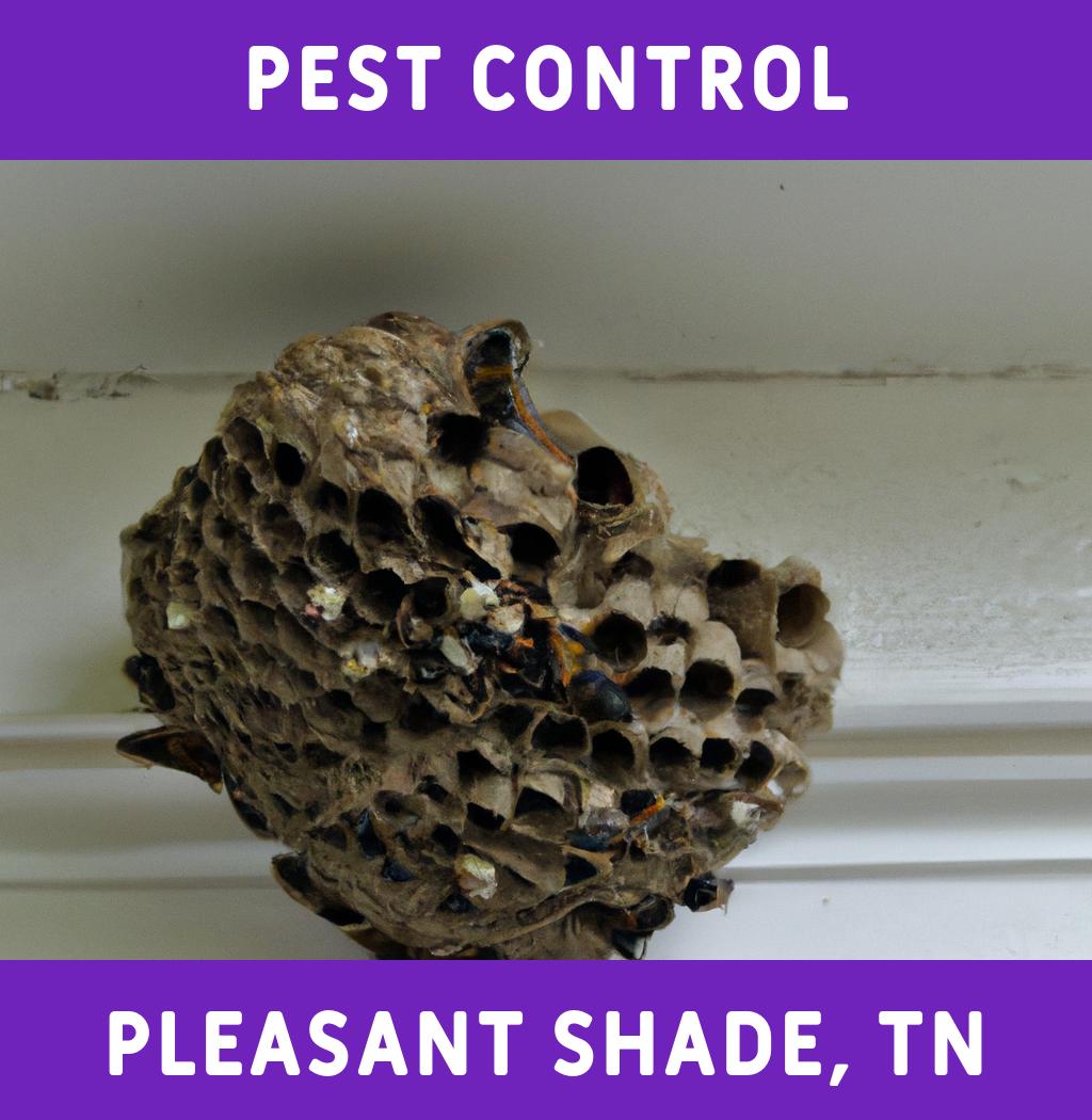 pest control in Pleasant Shade Tennessee