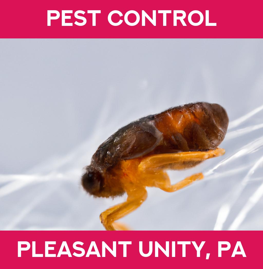 pest control in Pleasant Unity Pennsylvania