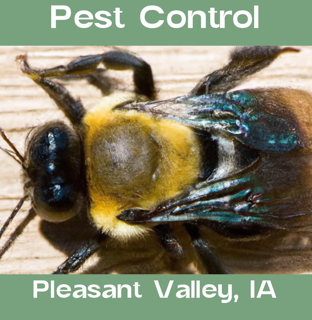 pest control in Pleasant Valley Iowa