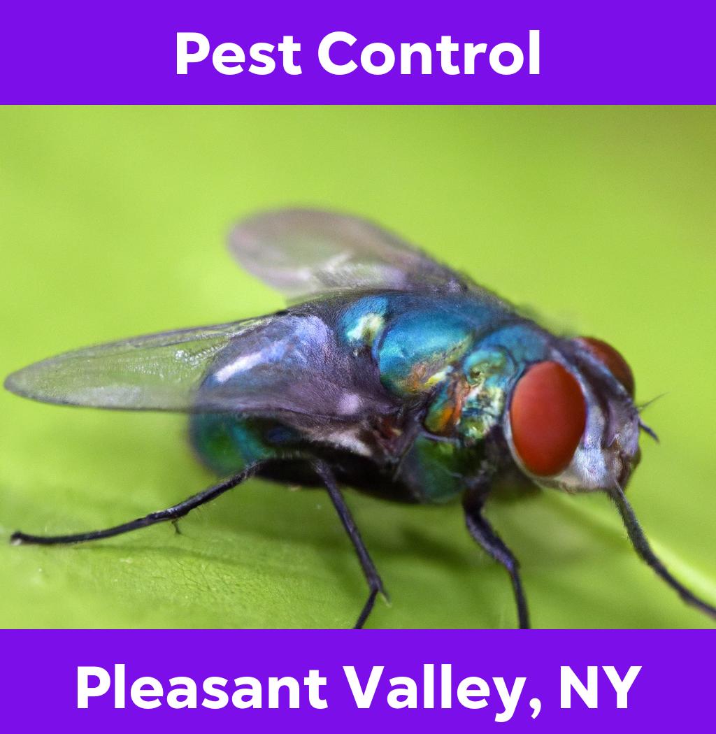 pest control in Pleasant Valley New York