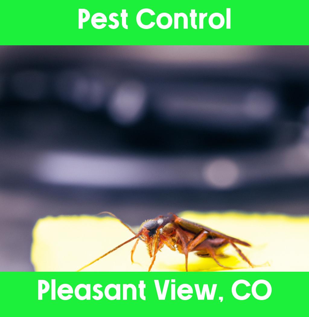 pest control in Pleasant View Colorado