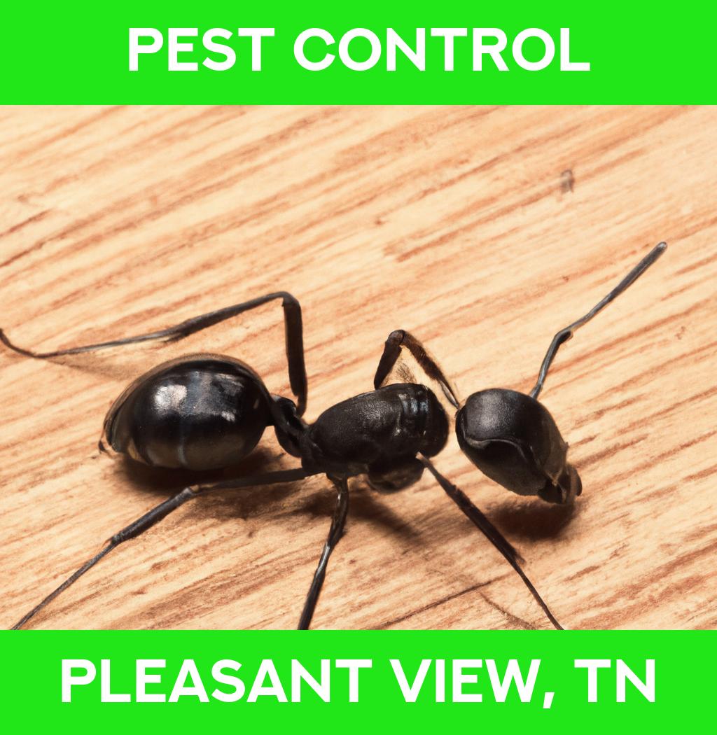 pest control in Pleasant View Tennessee