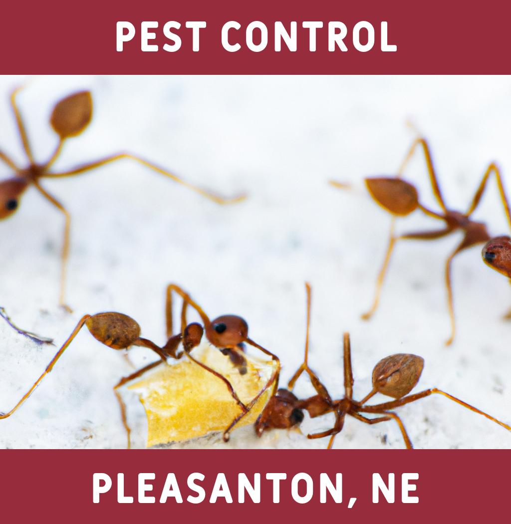 pest control in Pleasanton Nebraska