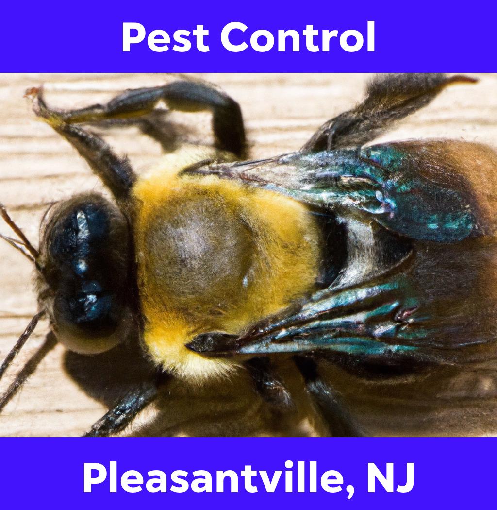 pest control in Pleasantville New Jersey