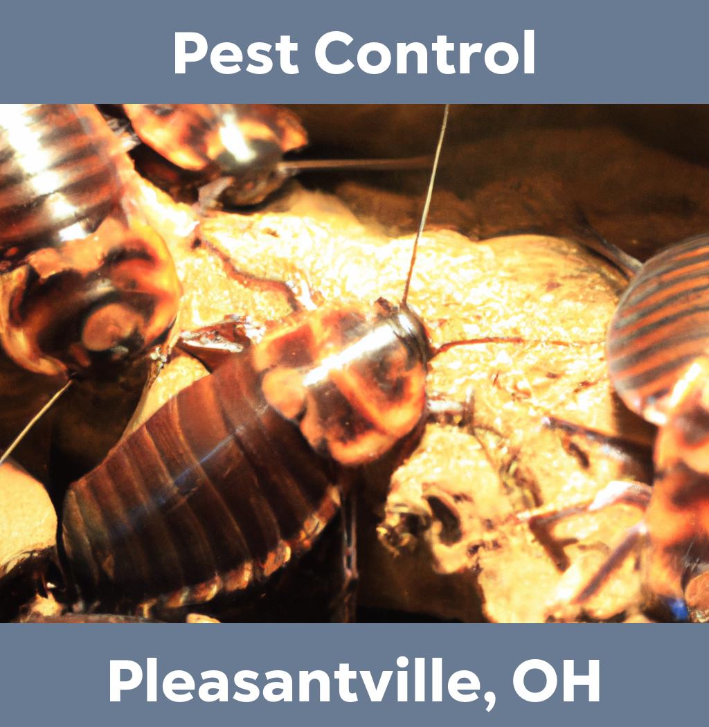 pest control in Pleasantville Ohio