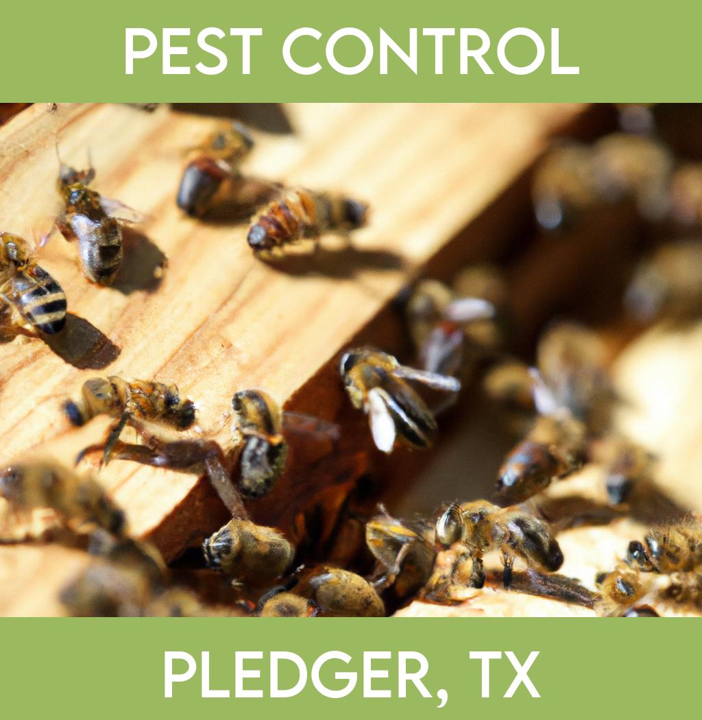 pest control in Pledger Texas