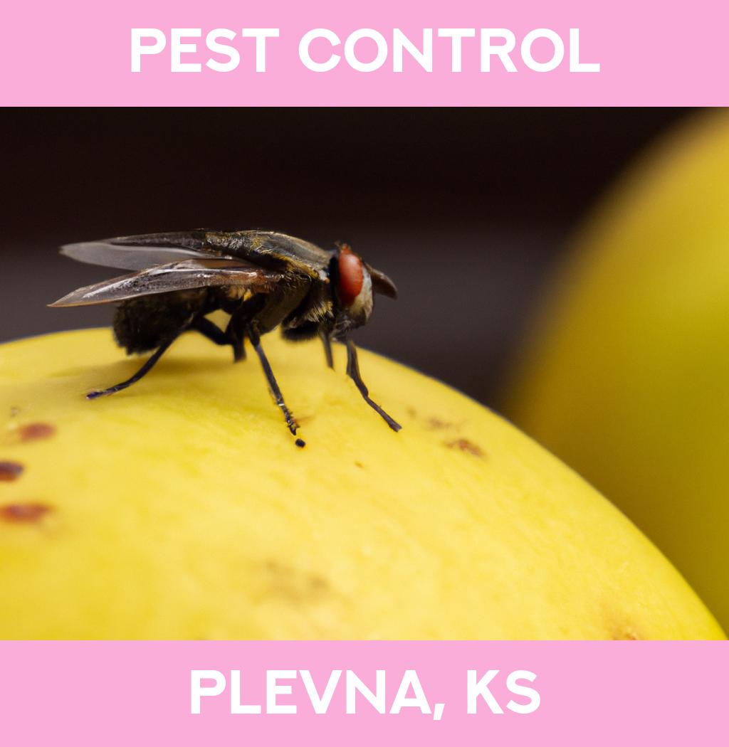 pest control in Plevna Kansas