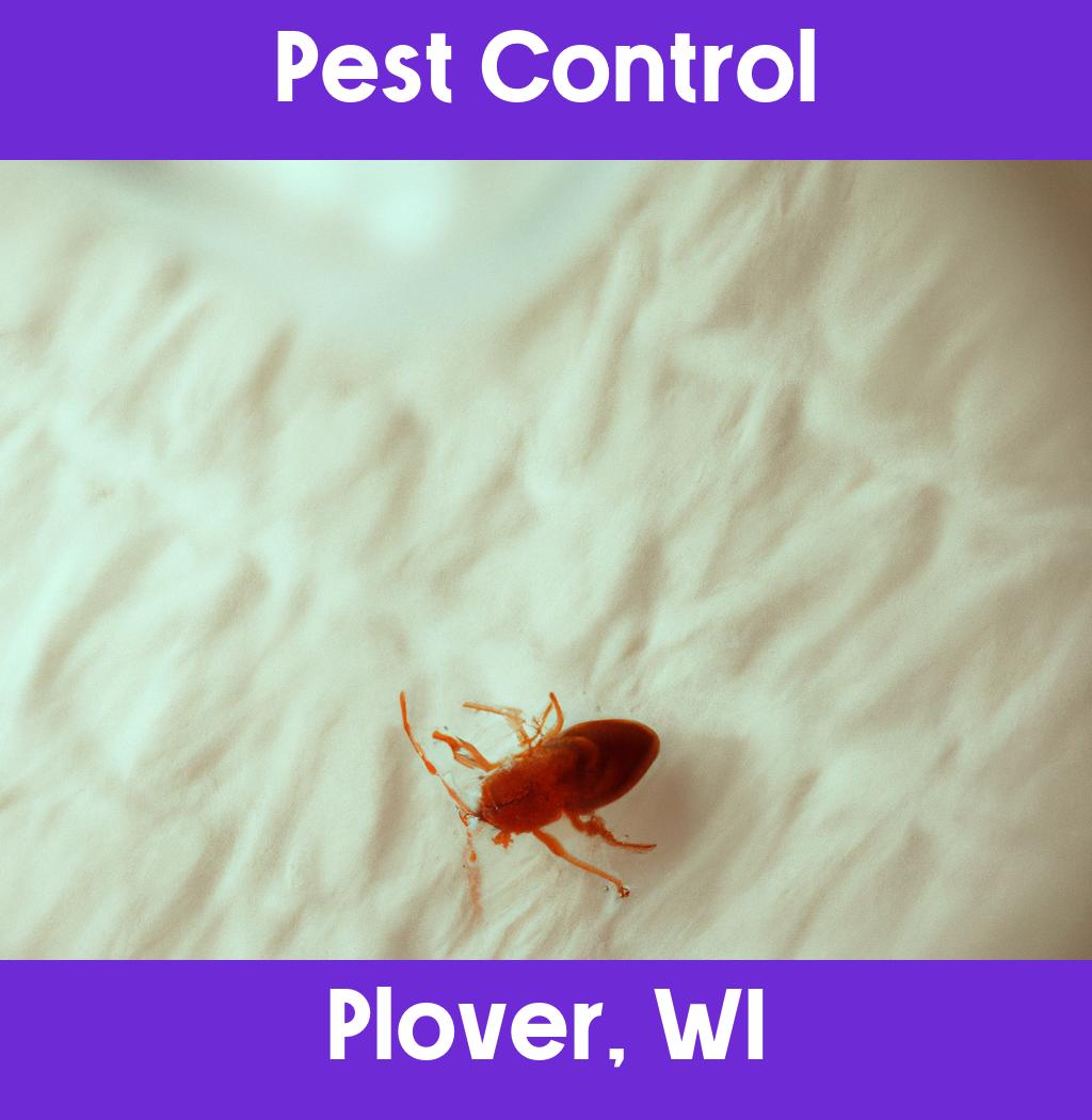pest control in Plover Wisconsin