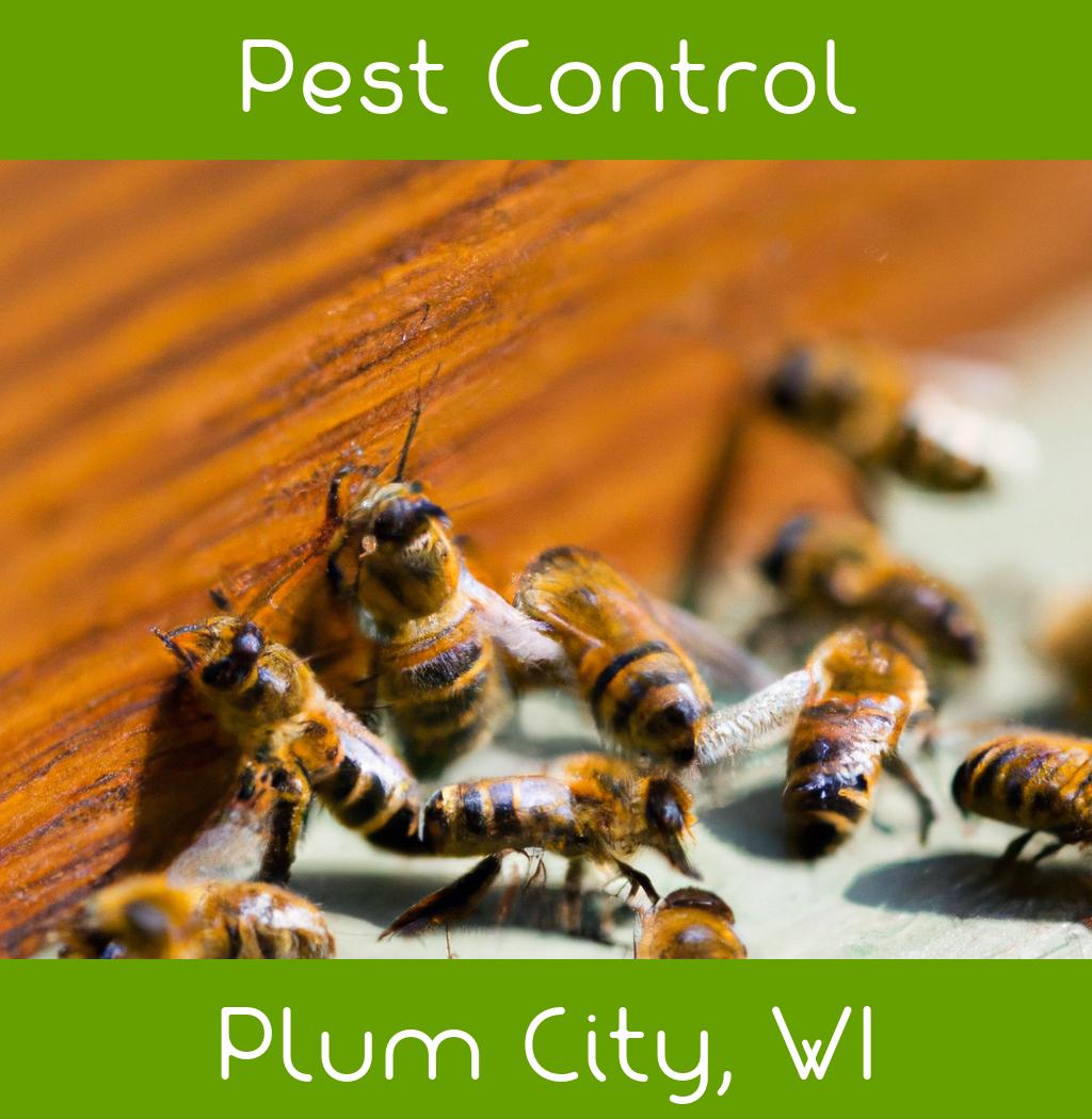 pest control in Plum City Wisconsin