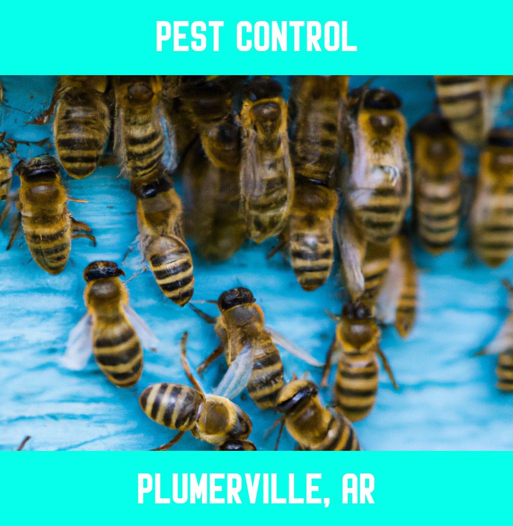pest control in Plumerville Arkansas