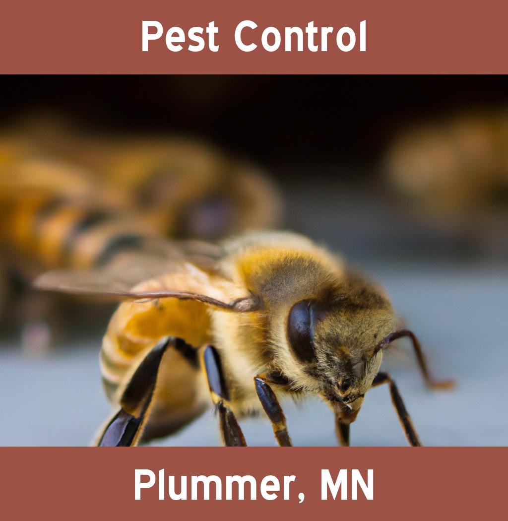 pest control in Plummer Minnesota