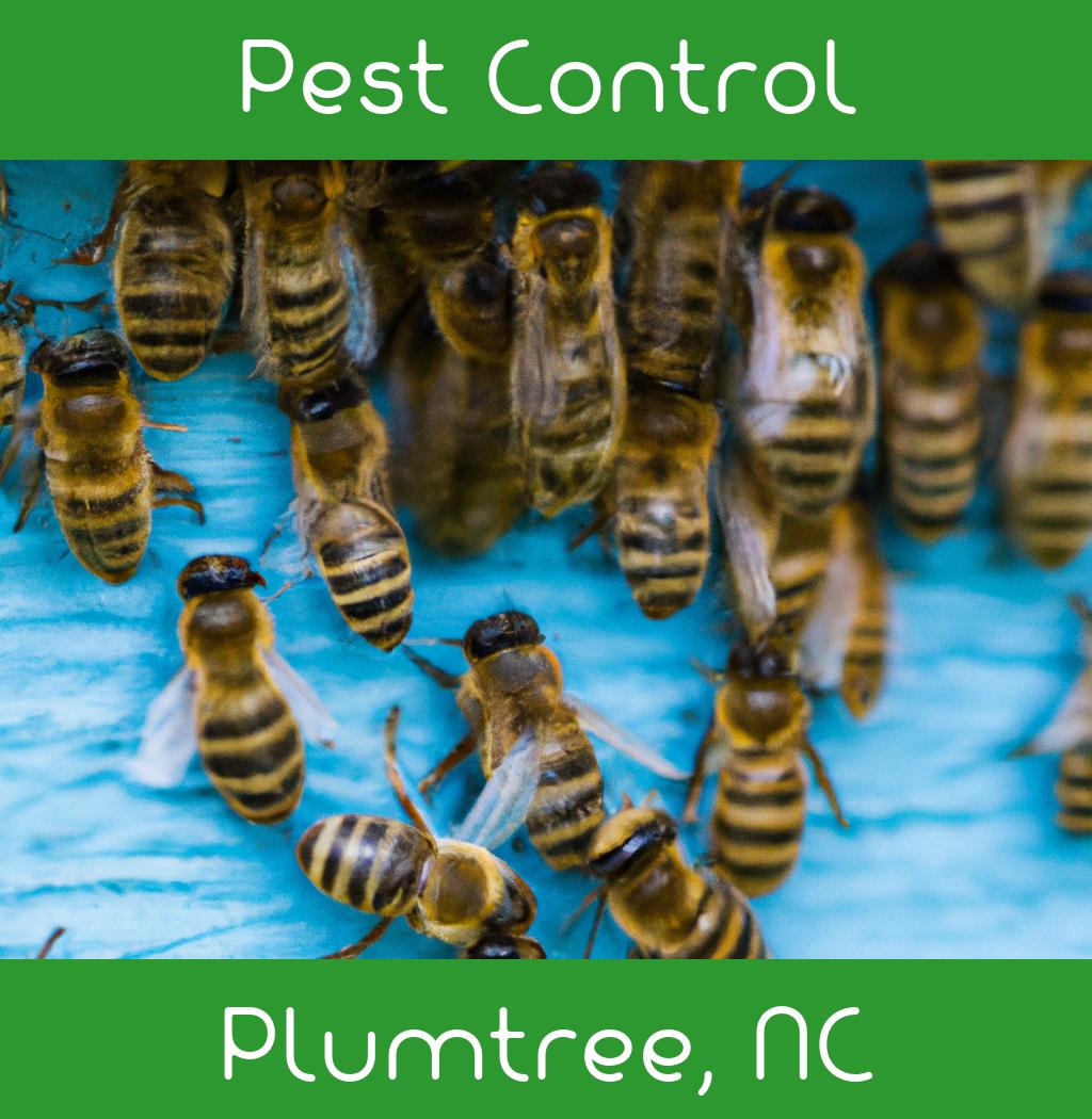 pest control in Plumtree North Carolina