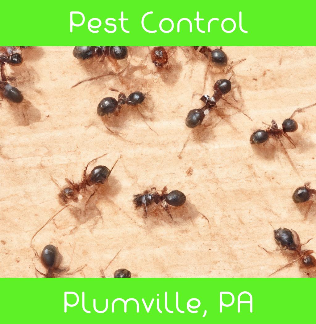 pest control in Plumville Pennsylvania