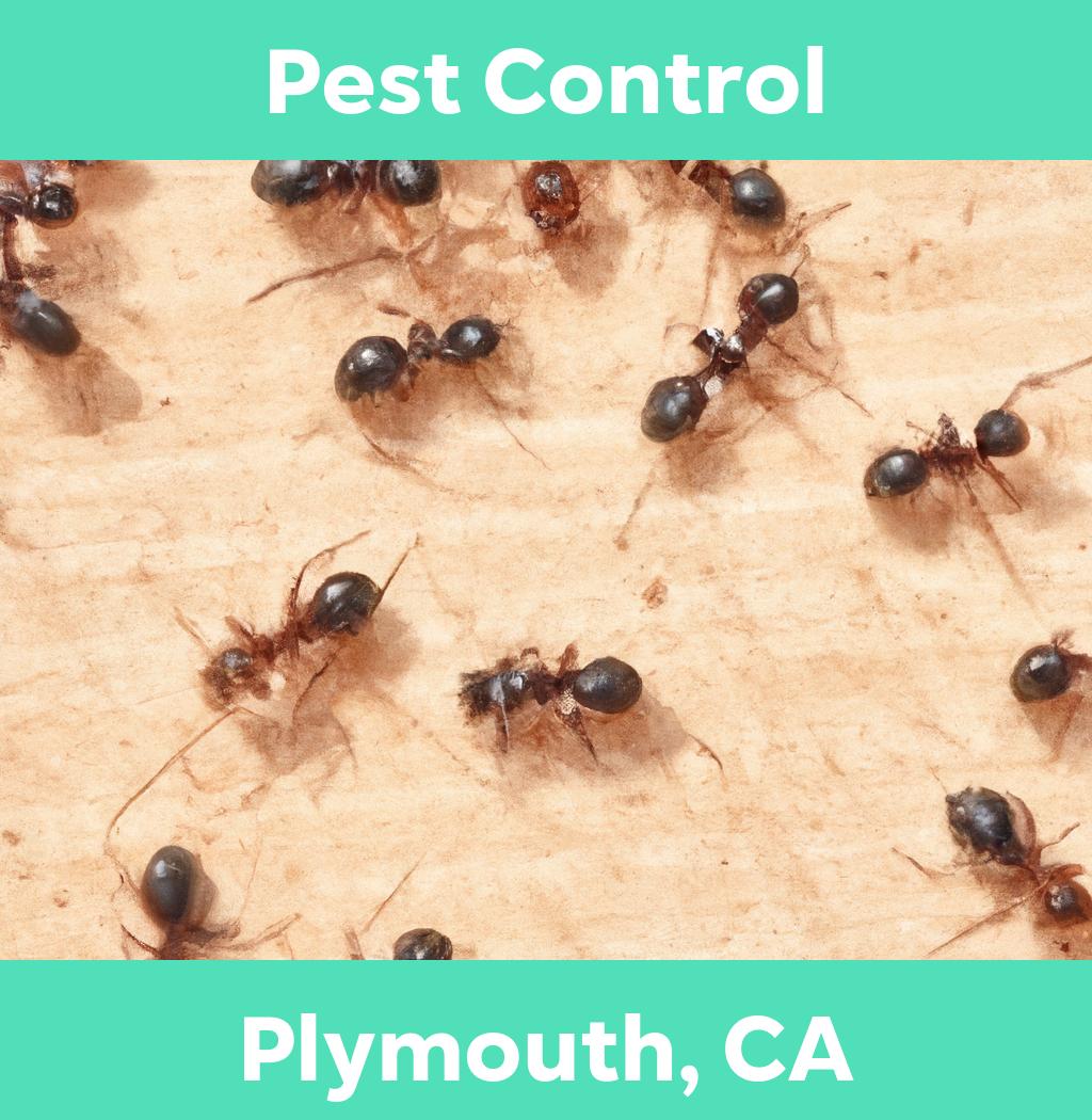 pest control in Plymouth California