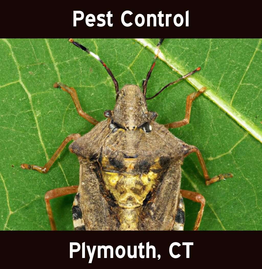 pest control in Plymouth Connecticut