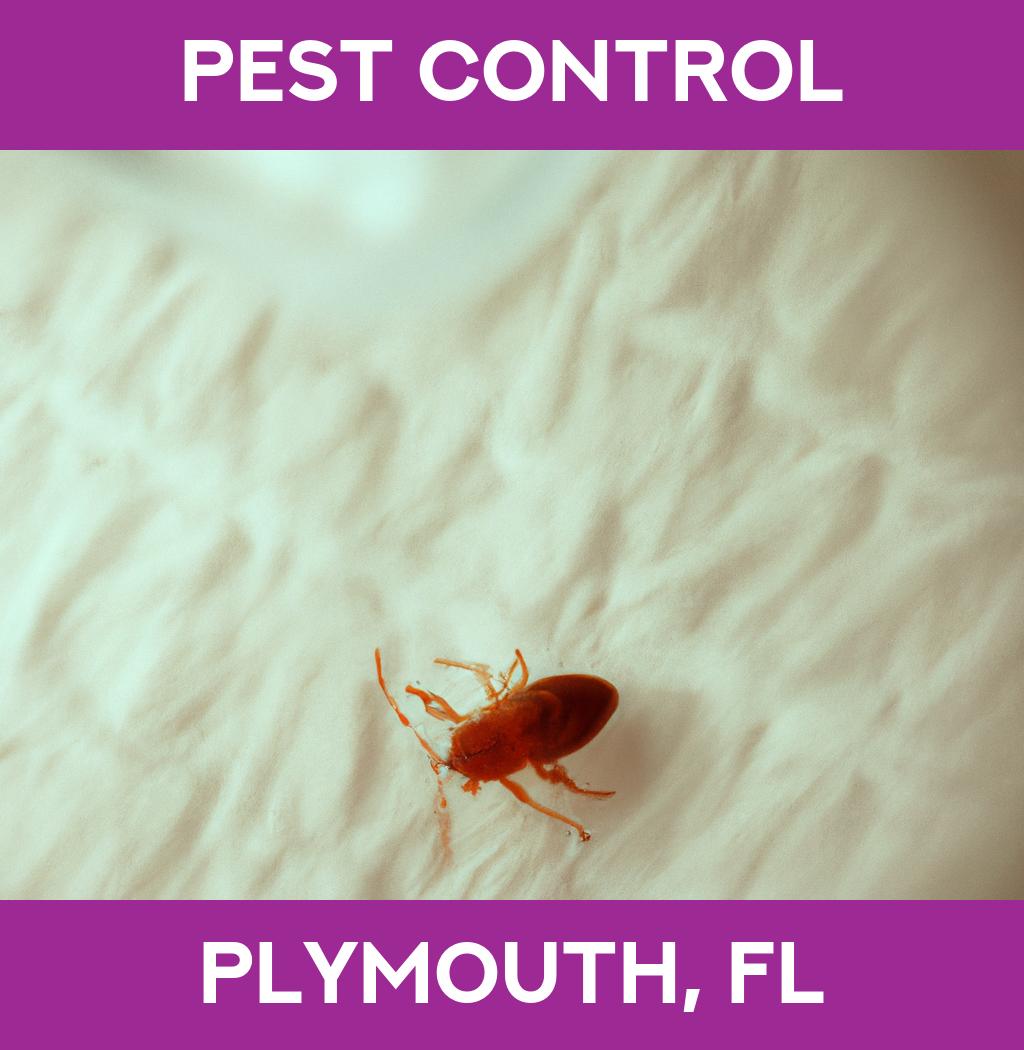 pest control in Plymouth Florida