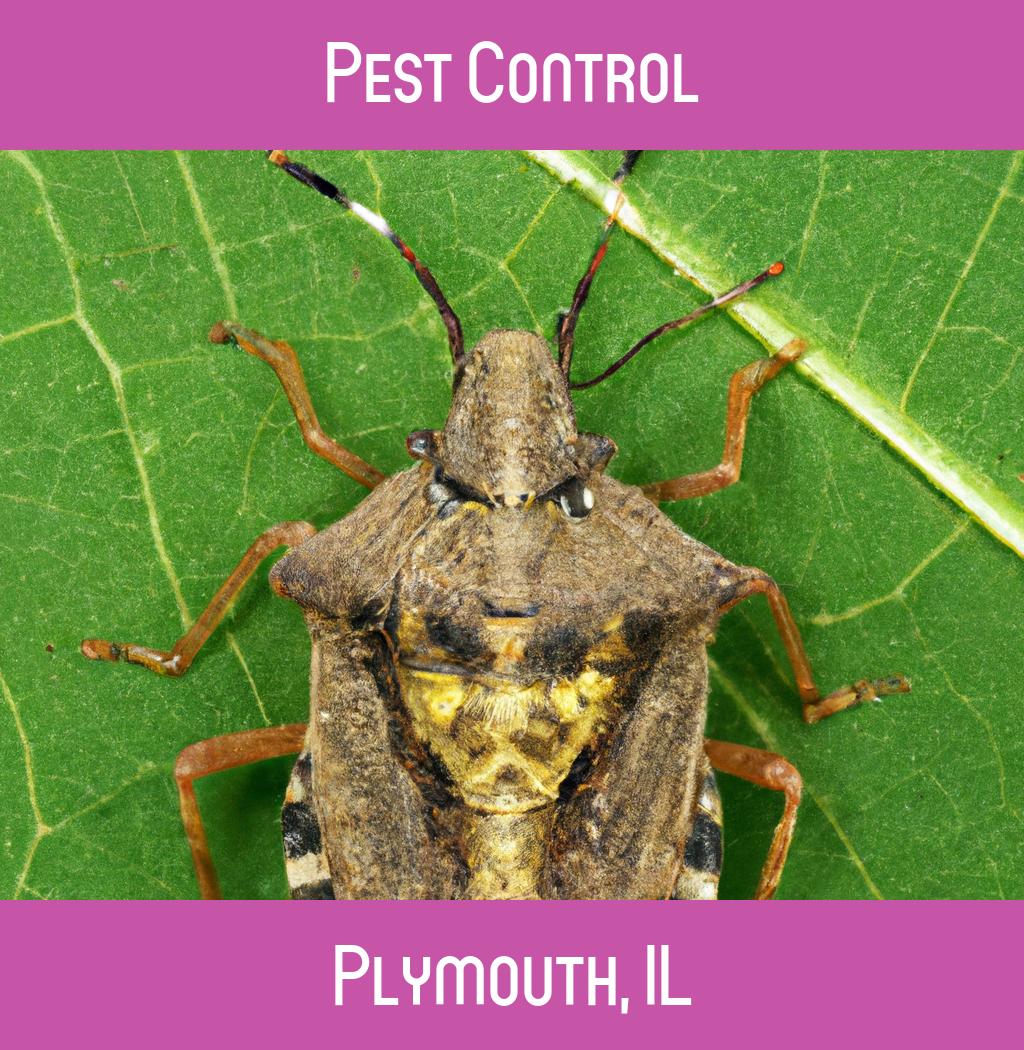 pest control in Plymouth Illinois
