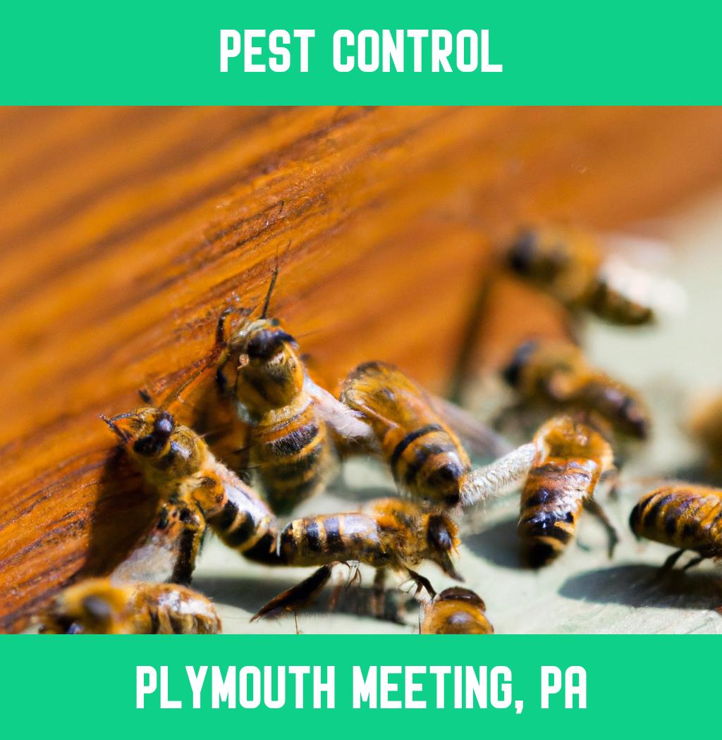 pest control in Plymouth Meeting Pennsylvania