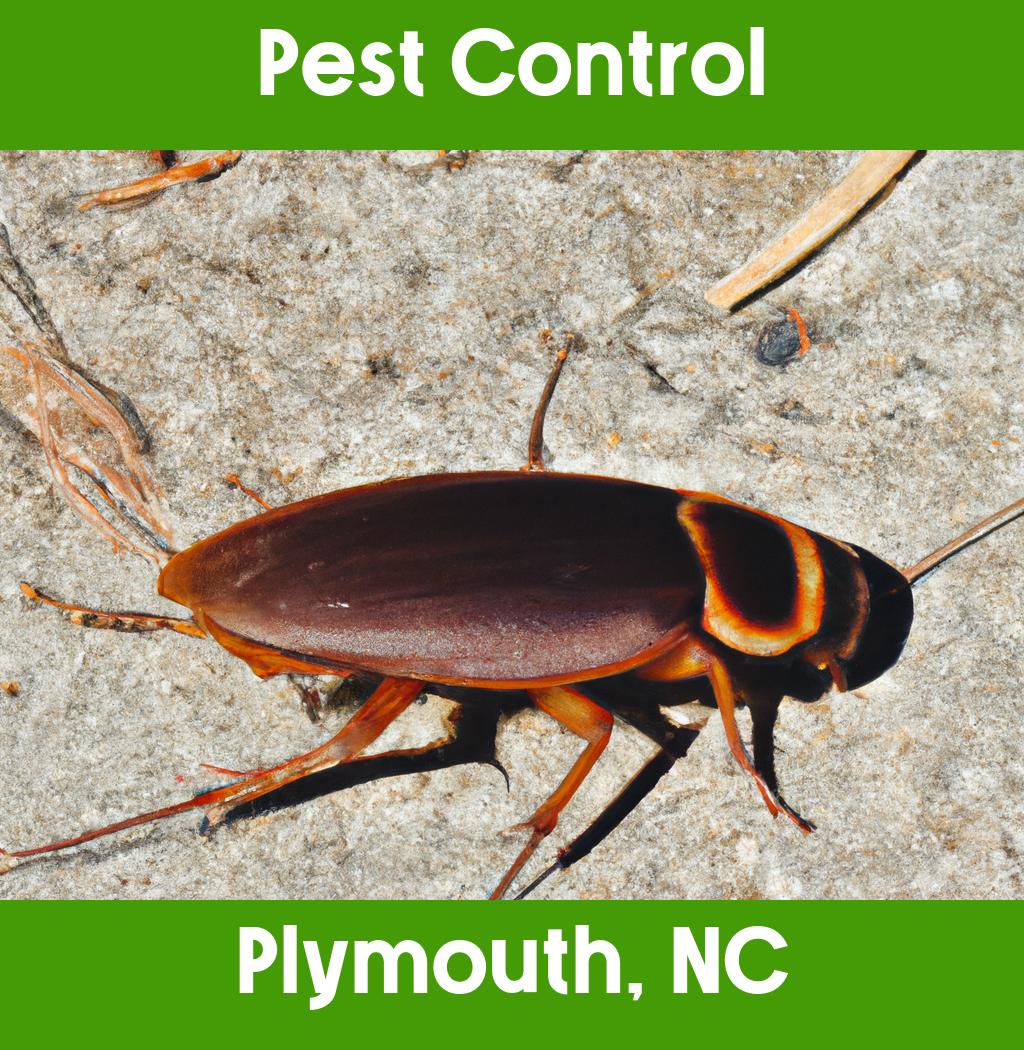 pest control in Plymouth North Carolina