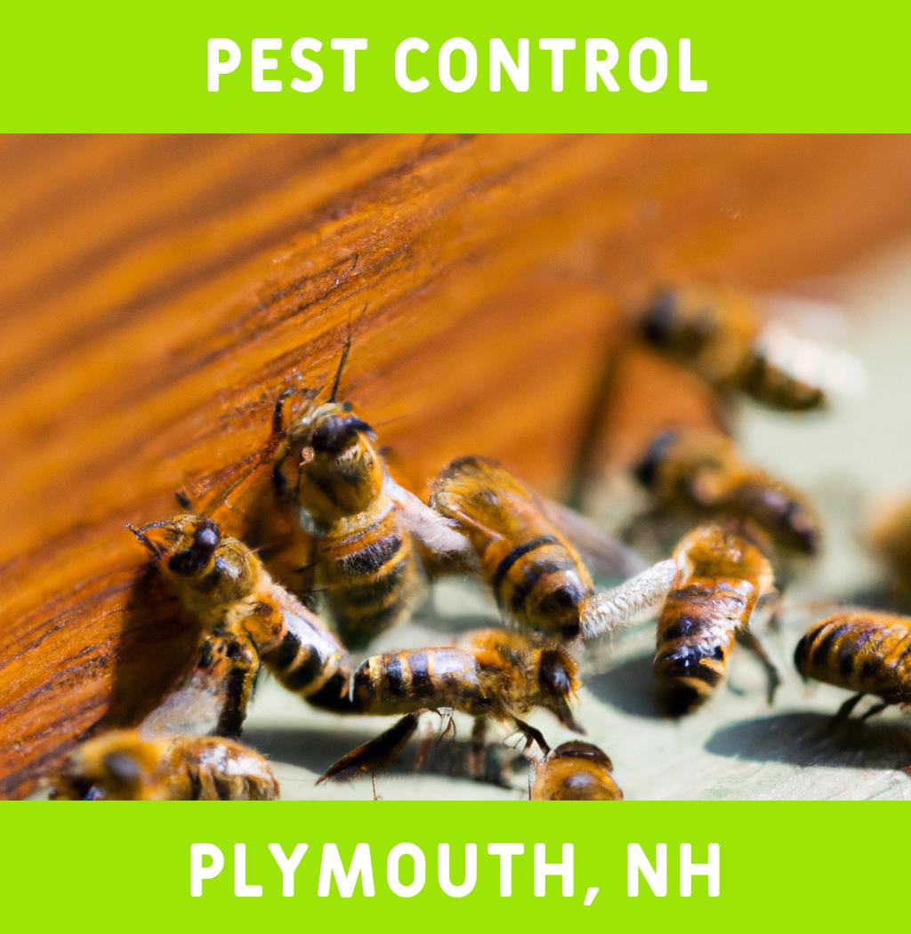 pest control in Plymouth New Hampshire