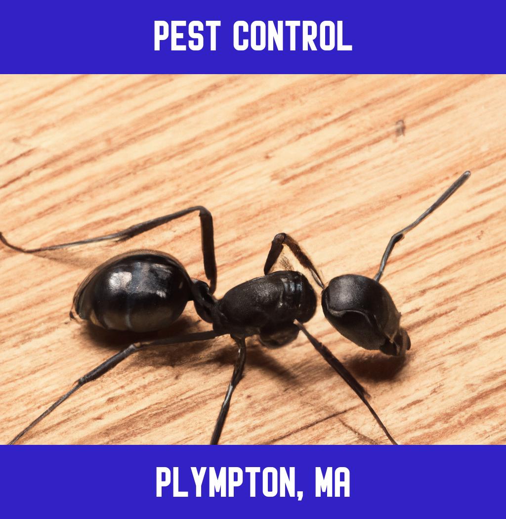 pest control in Plympton Massachusetts