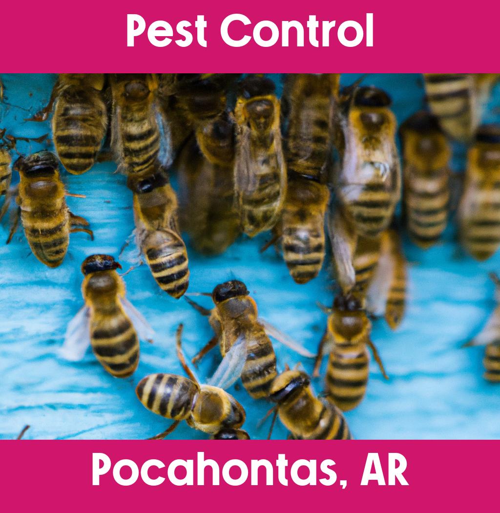 pest control in Pocahontas Arkansas