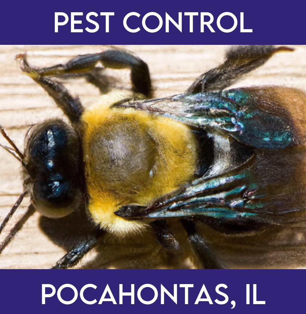 pest control in Pocahontas Illinois