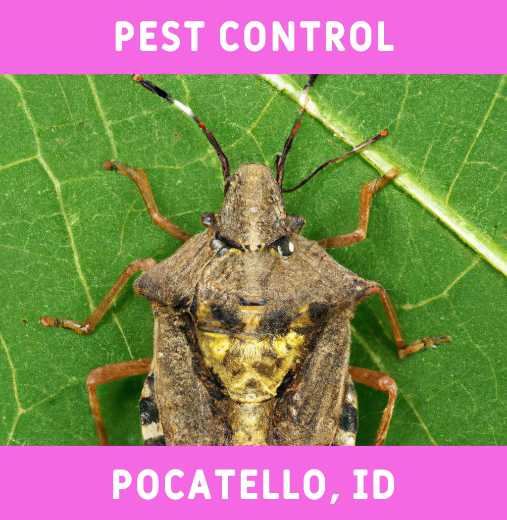 pest control in Pocatello Idaho