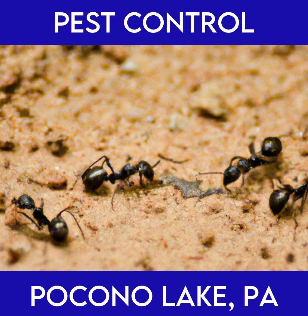 pest control in Pocono Lake Pennsylvania