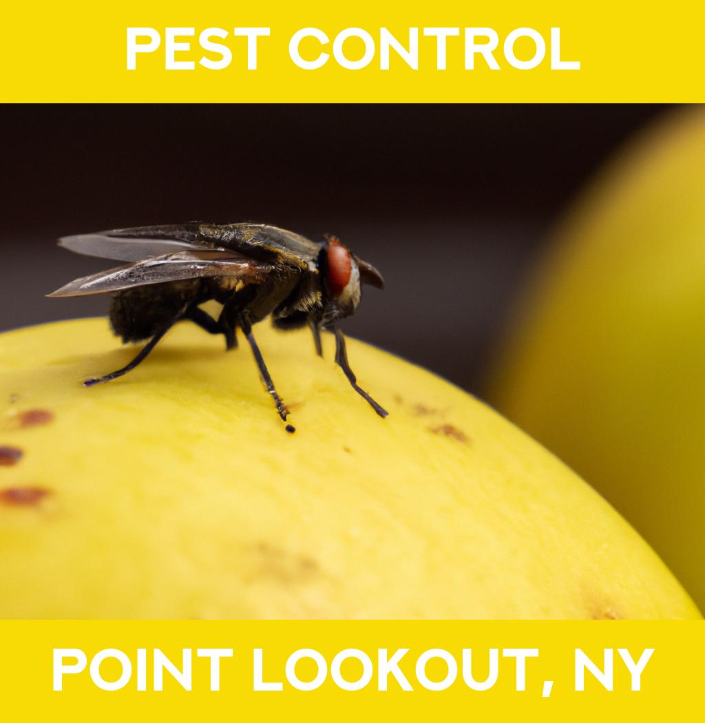 pest control in Point Lookout New York