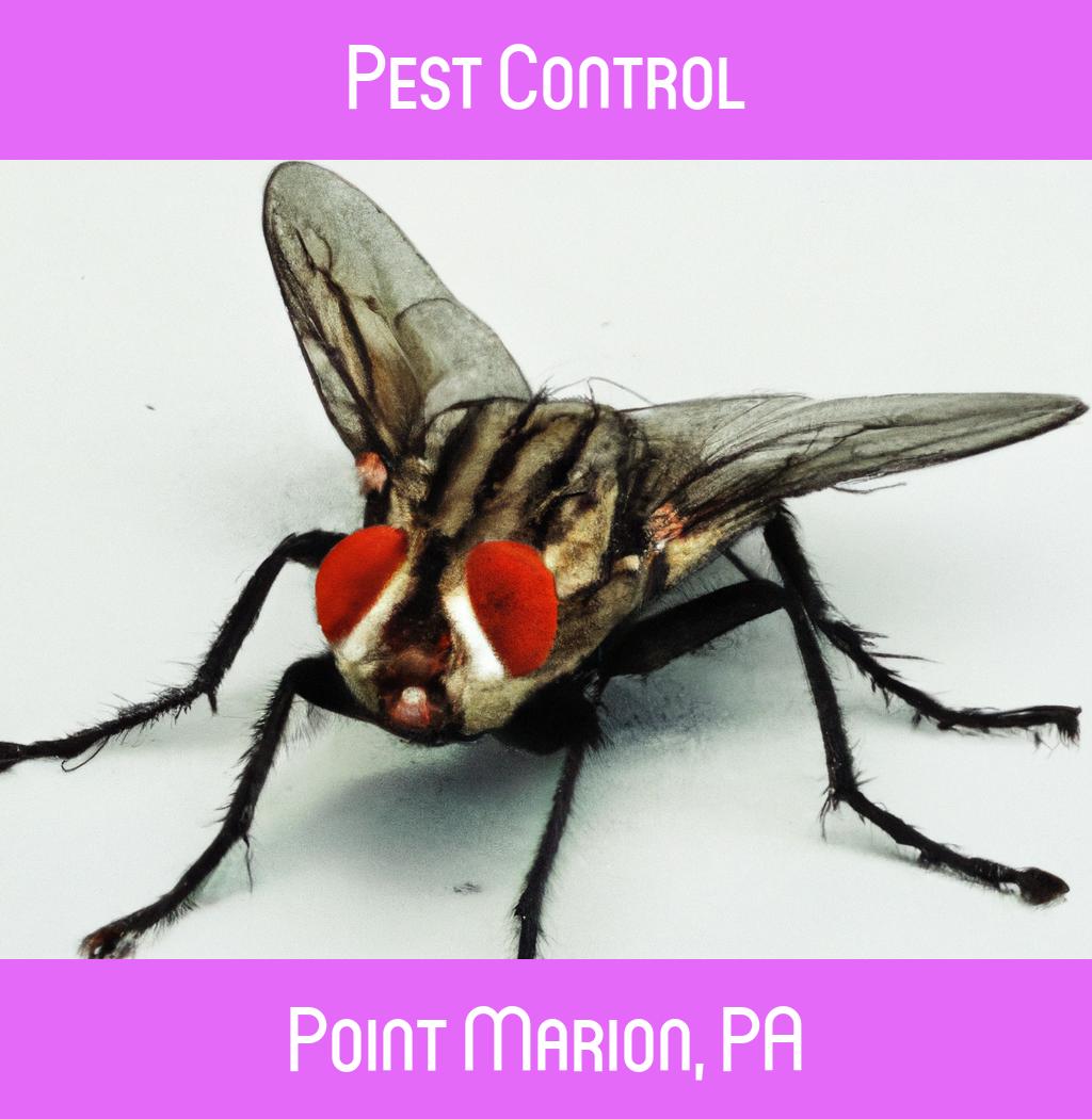 pest control in Point Marion Pennsylvania