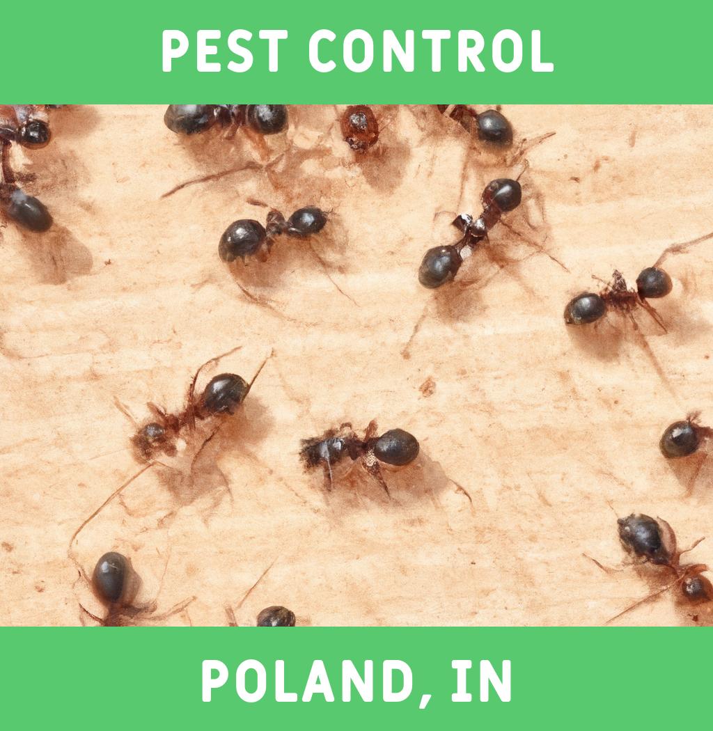 pest control in Poland Indiana
