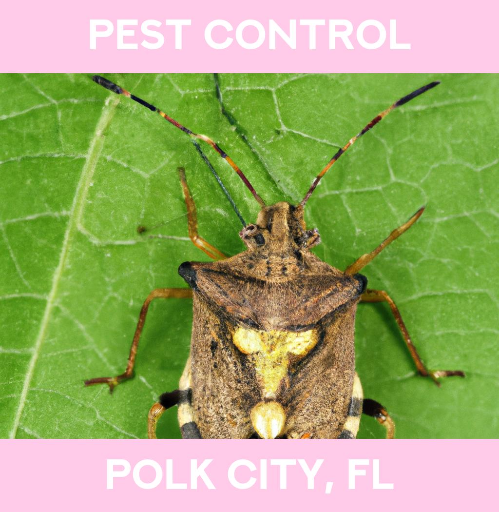 pest control in Polk City Florida