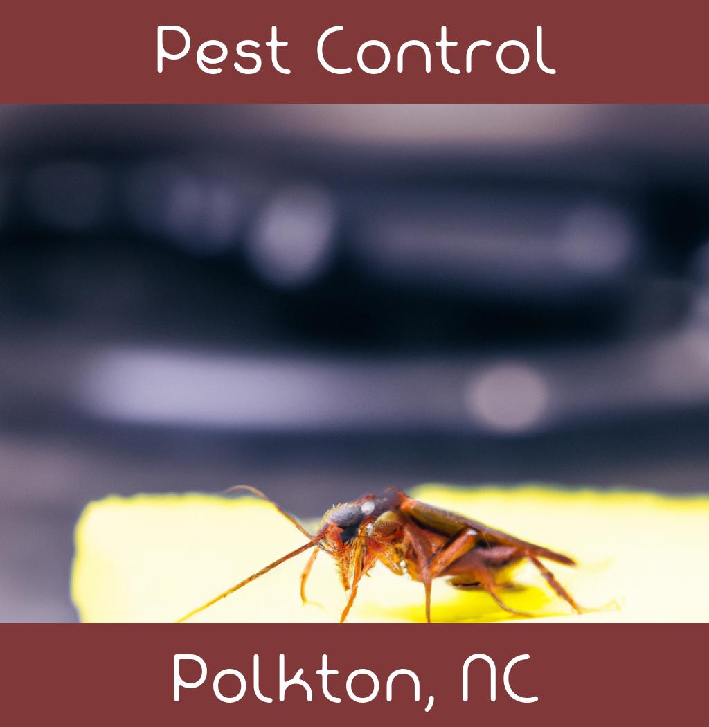 pest control in Polkton North Carolina