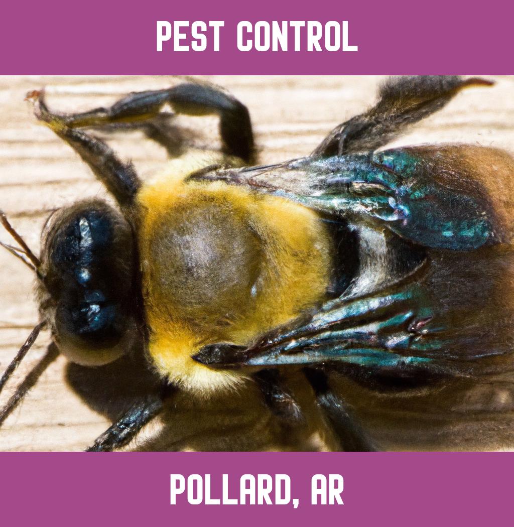 pest control in Pollard Arkansas