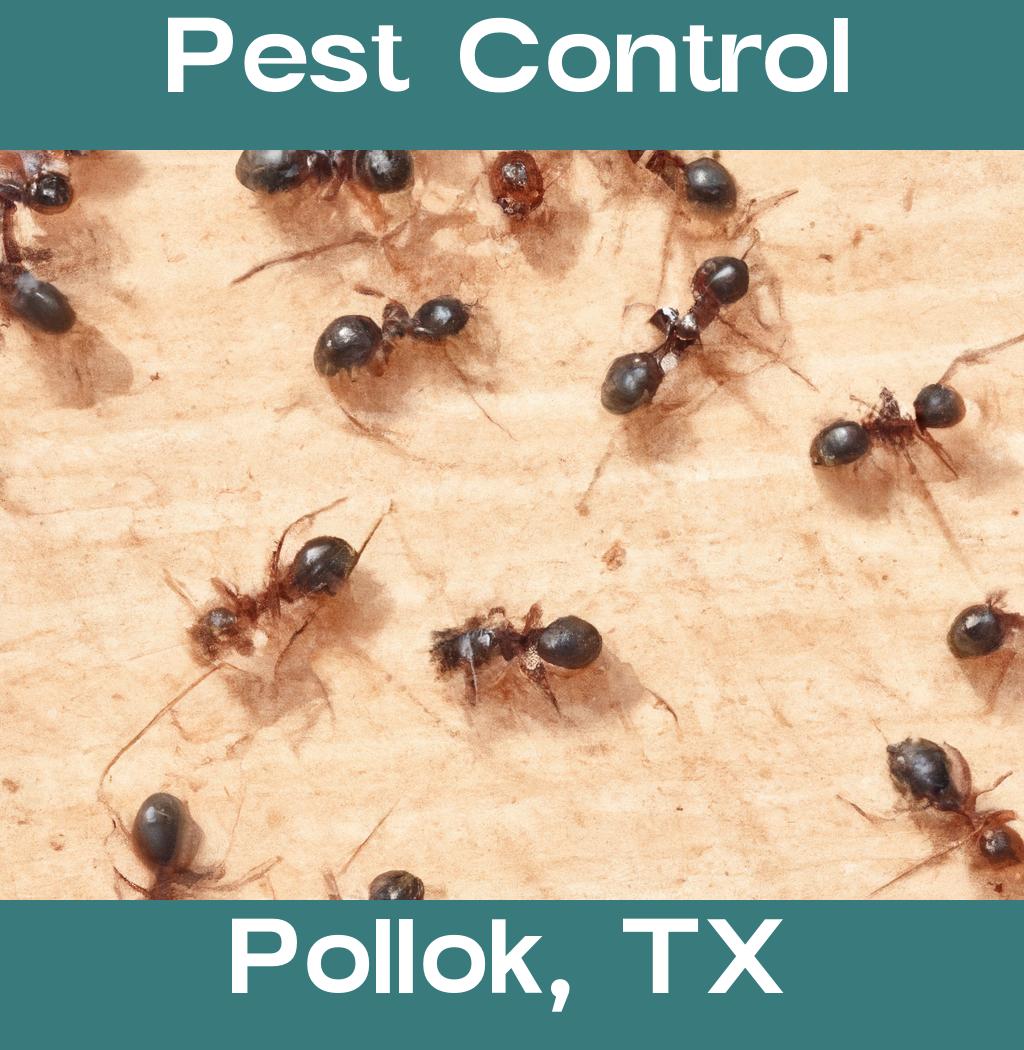 pest control in Pollok Texas
