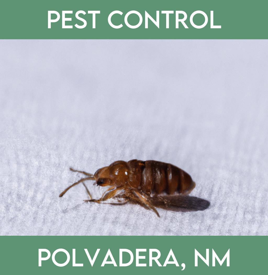 pest control in Polvadera New Mexico