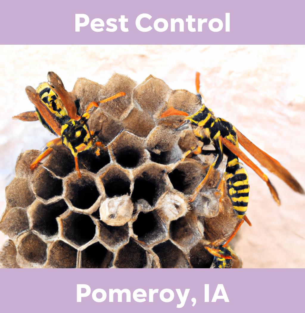 pest control in Pomeroy Iowa