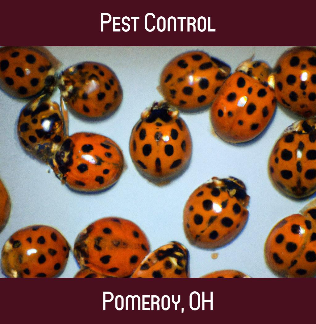 pest control in Pomeroy Ohio