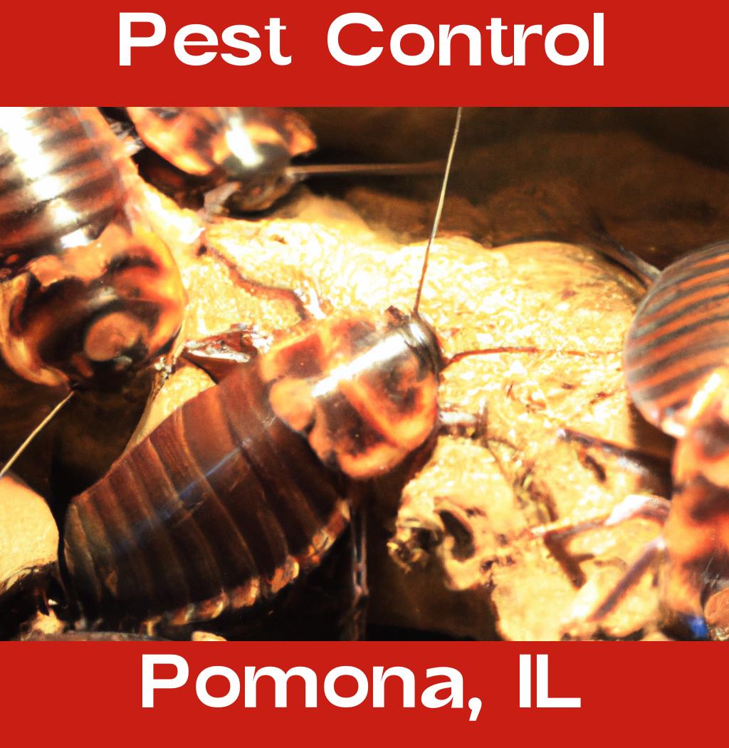 pest control in Pomona Illinois