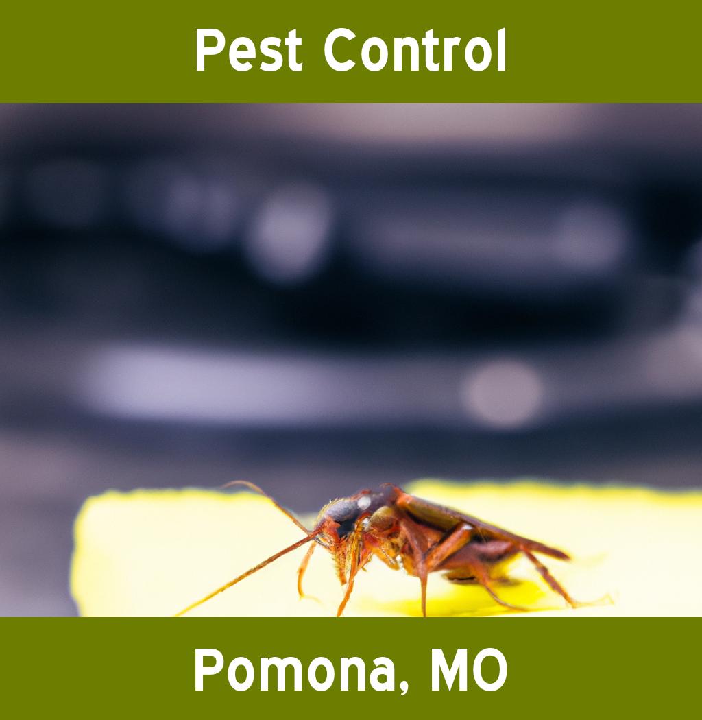 pest control in Pomona Missouri